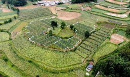 迪拜爆料网赌视频最新进展,警方调查深入，案件细节逐步浮出水面